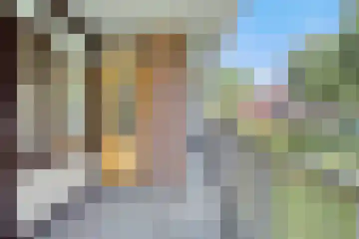 Evertsenlaan 19 Terneuzen thumbnail 15