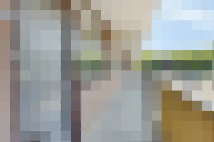 Evertsenlaan 19 Terneuzen thumbnail 16