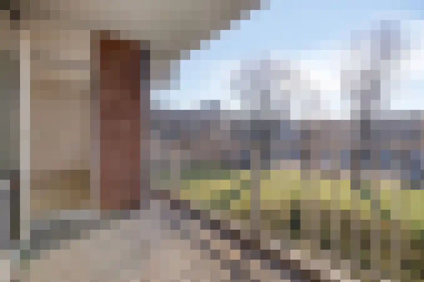 Evertsenlaan 31 Terneuzen thumbnail 13