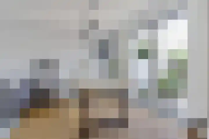 Evertsenlaan 36 Harderwijk thumbnail 13