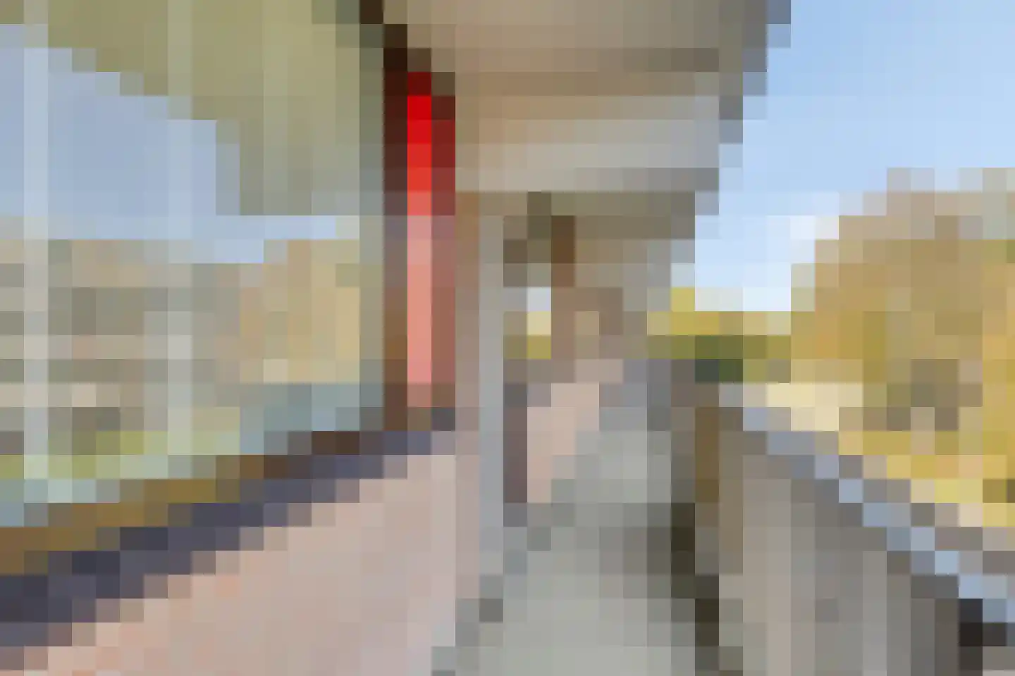 Evertsenlaan 36 Terneuzen thumbnail 13
