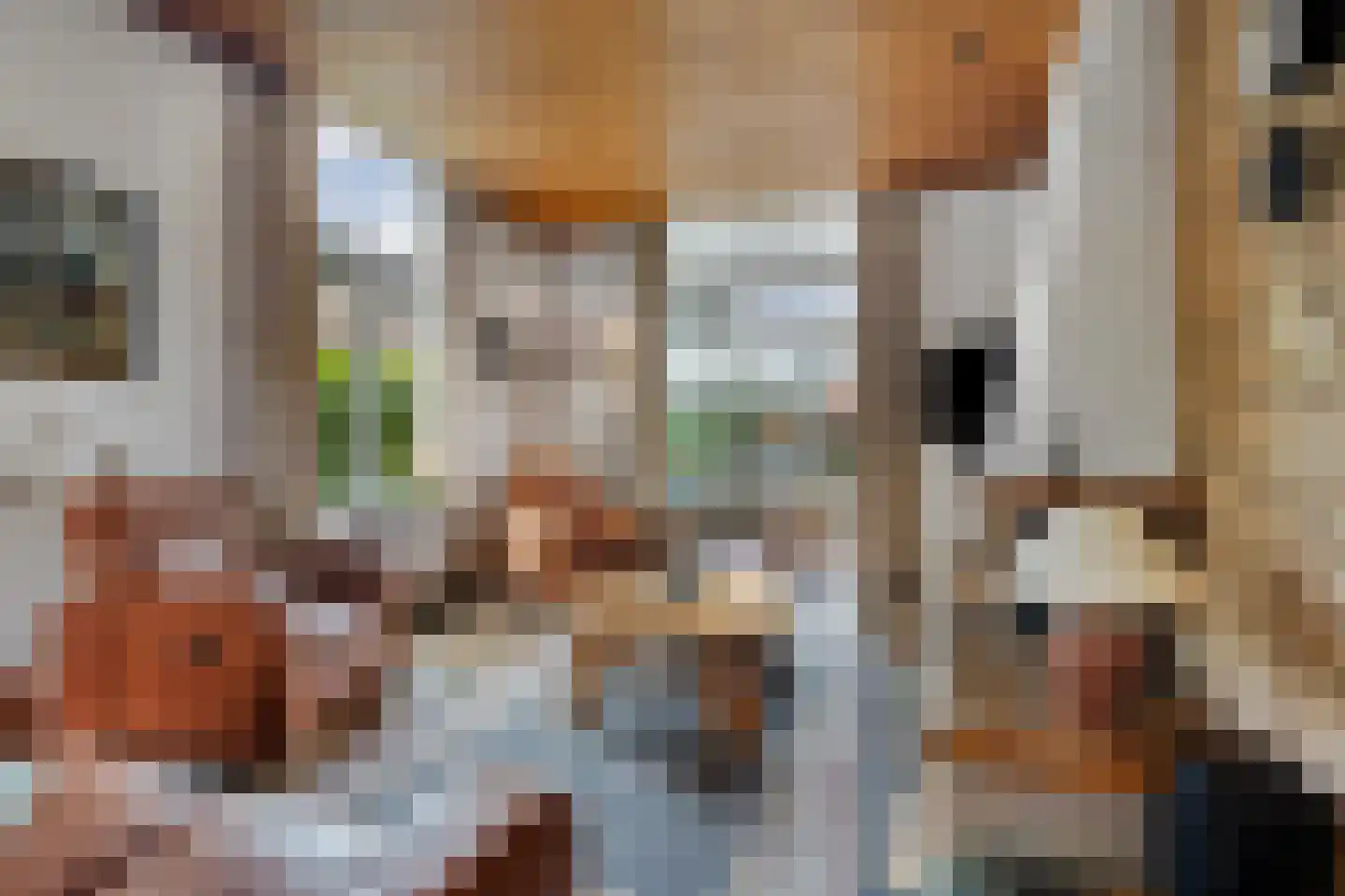 Evertsenlaan 6 Velp thumbnail 11