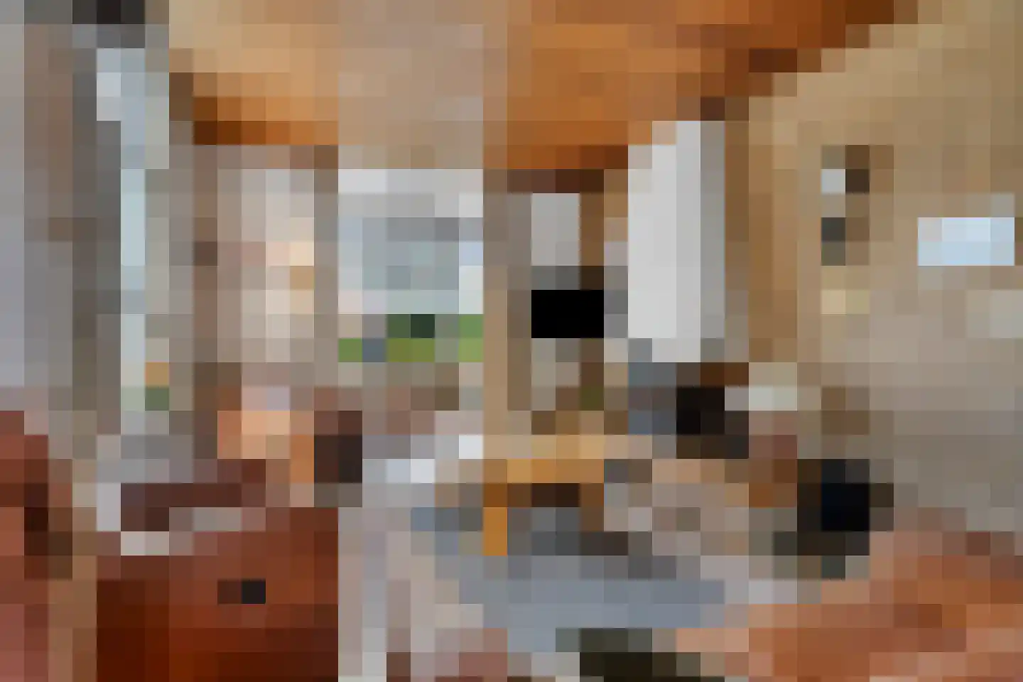 Evertsenlaan 6 Velp thumbnail 12