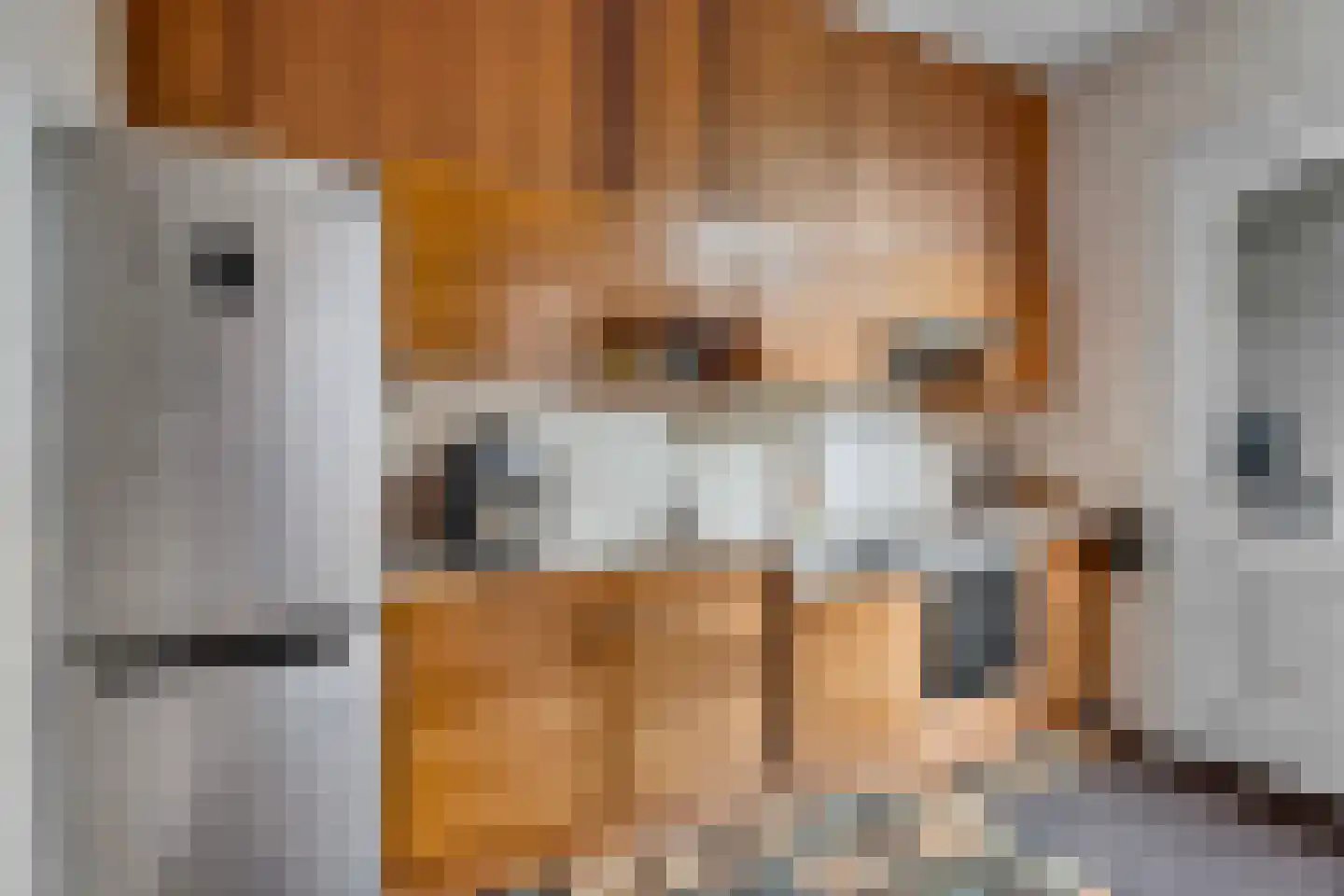 Evertsenlaan 6 Velp thumbnail 21