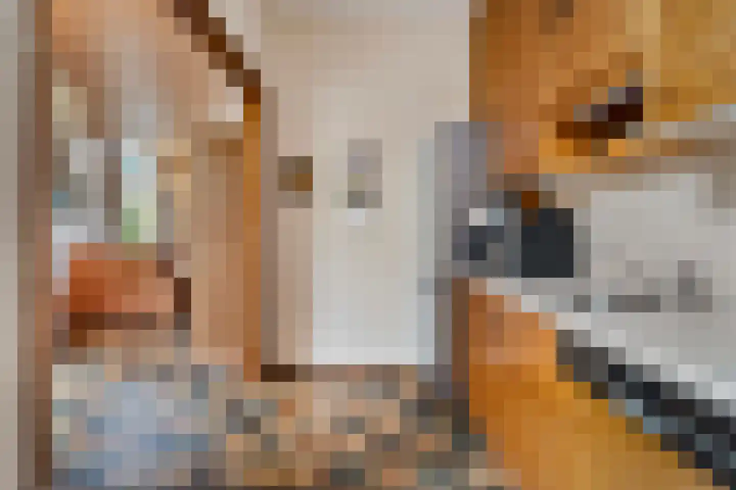 Evertsenlaan 6 Velp thumbnail 22