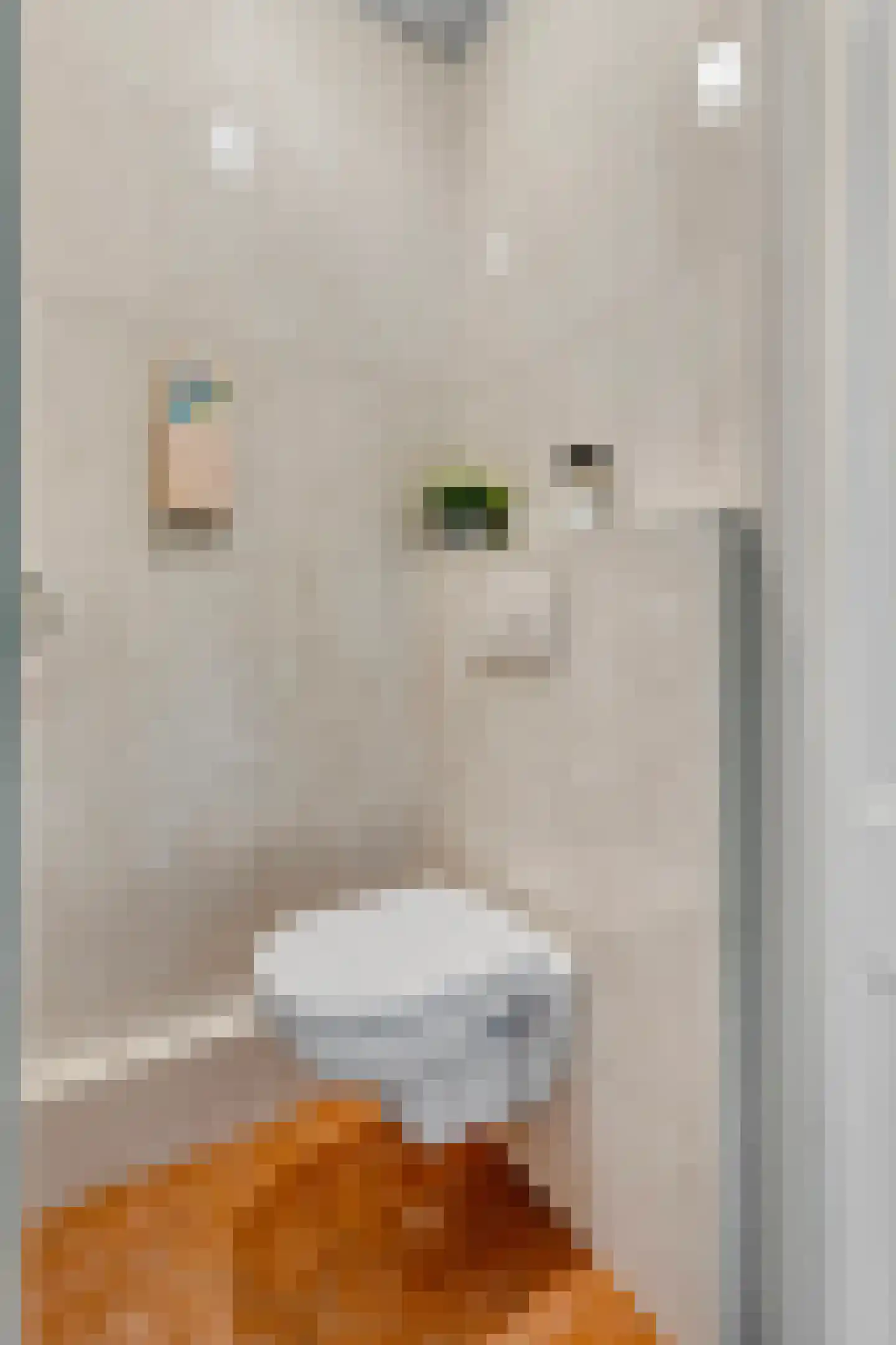 Evertsenlaan 6 Velp thumbnail 28