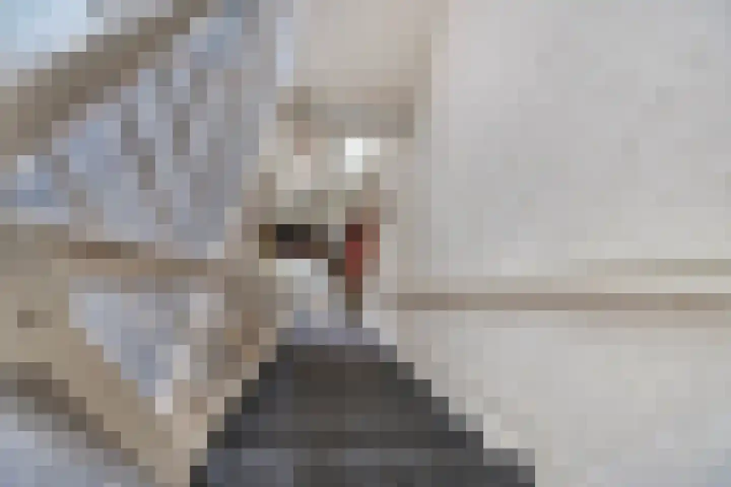 Evertsenlaan 6 Velp thumbnail 30