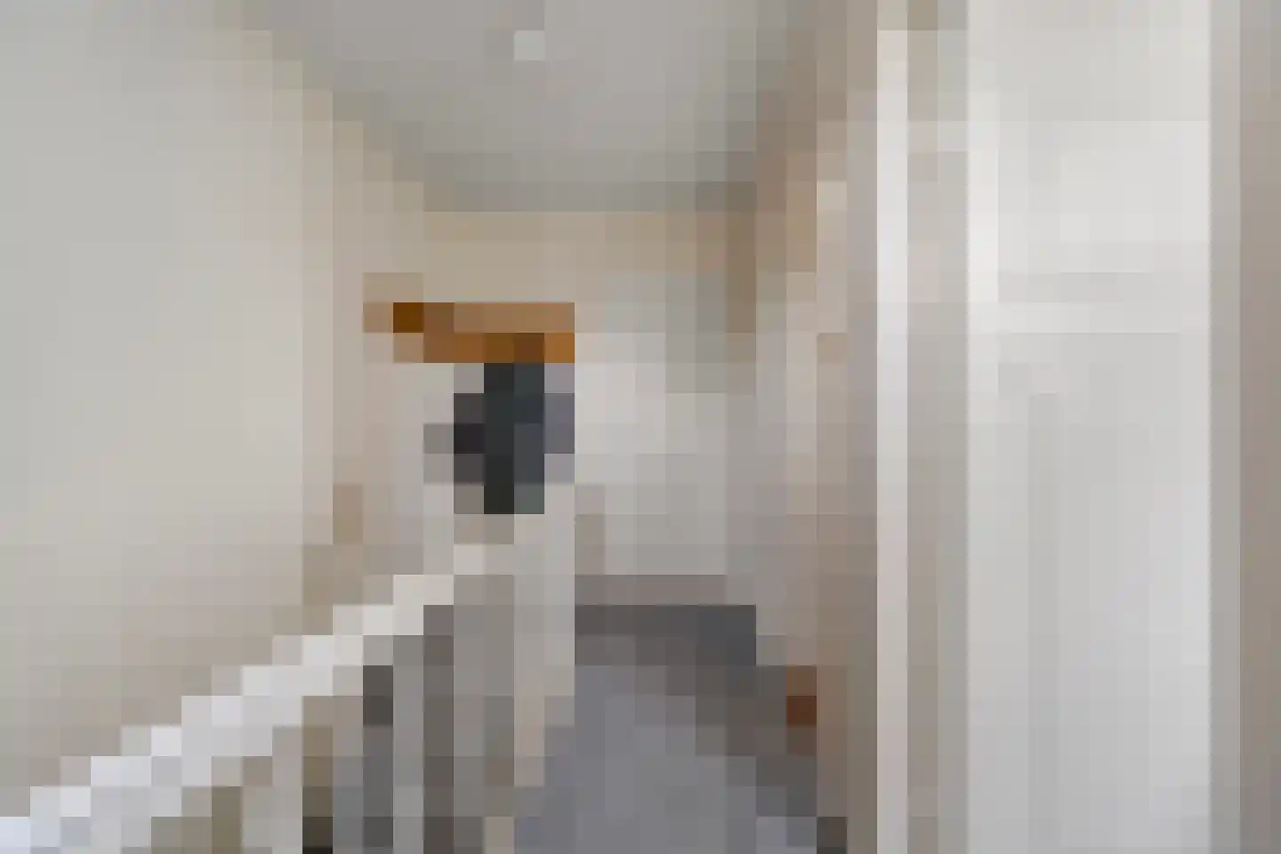 Evertsenlaan 6 Velp thumbnail 32