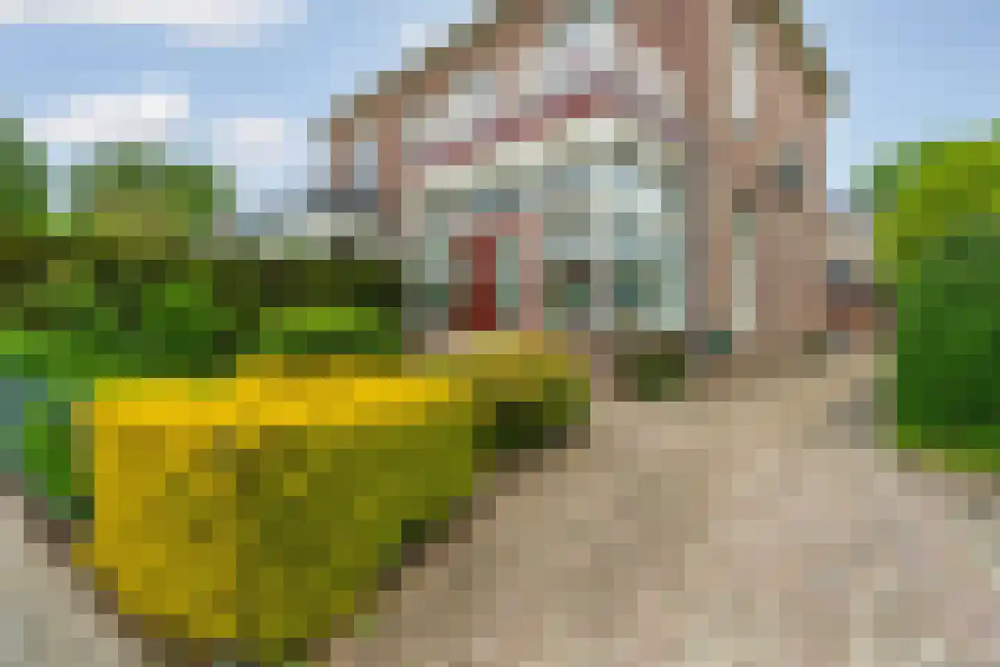 Evertsenlaan 6 Velp thumbnail 40