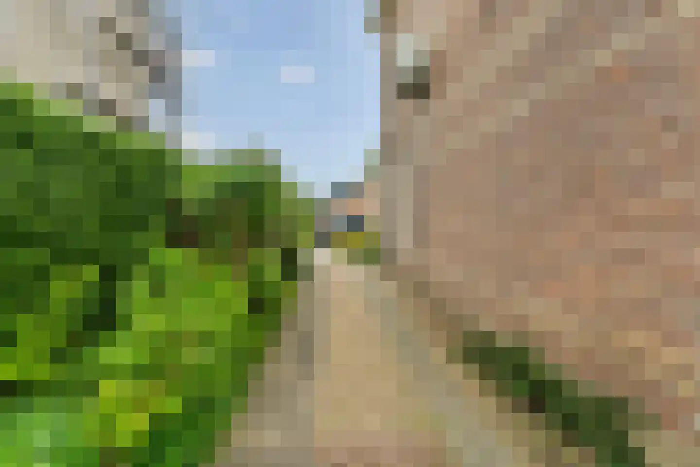 Evertsenlaan 6 Velp thumbnail 41