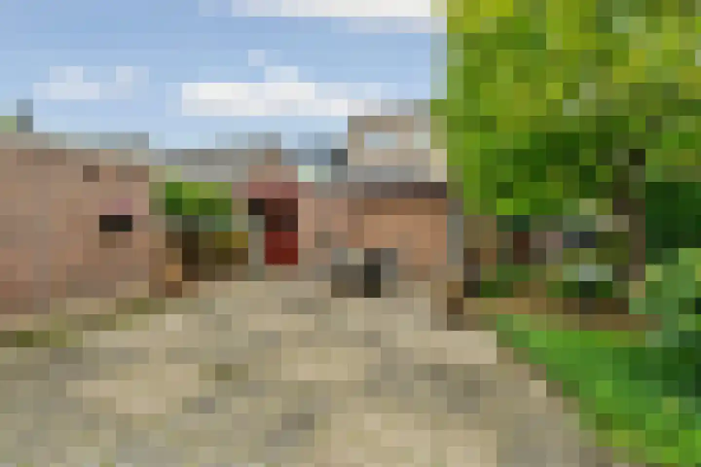 Evertsenlaan 6 Velp thumbnail 43