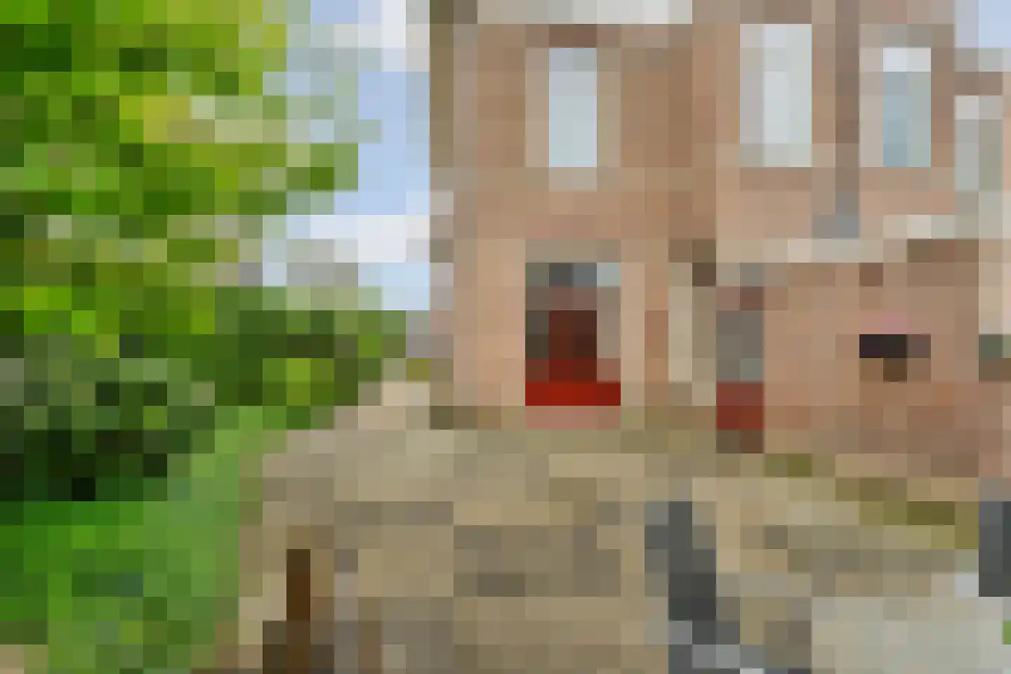 Evertsenlaan 6 Velp thumbnail 45