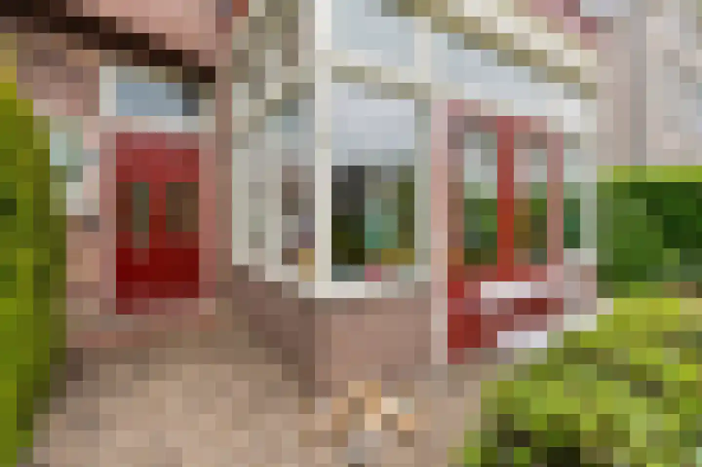 Evertsenlaan 6 Velp thumbnail 7