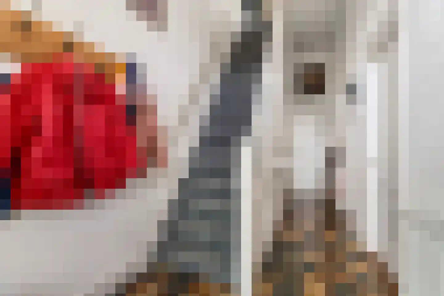 Evertsenlaan 6 Velp thumbnail 9