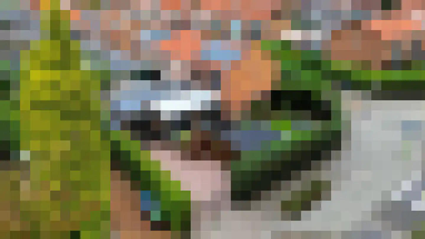 Evertsenlaan 70 Harderwijk thumbnail 42