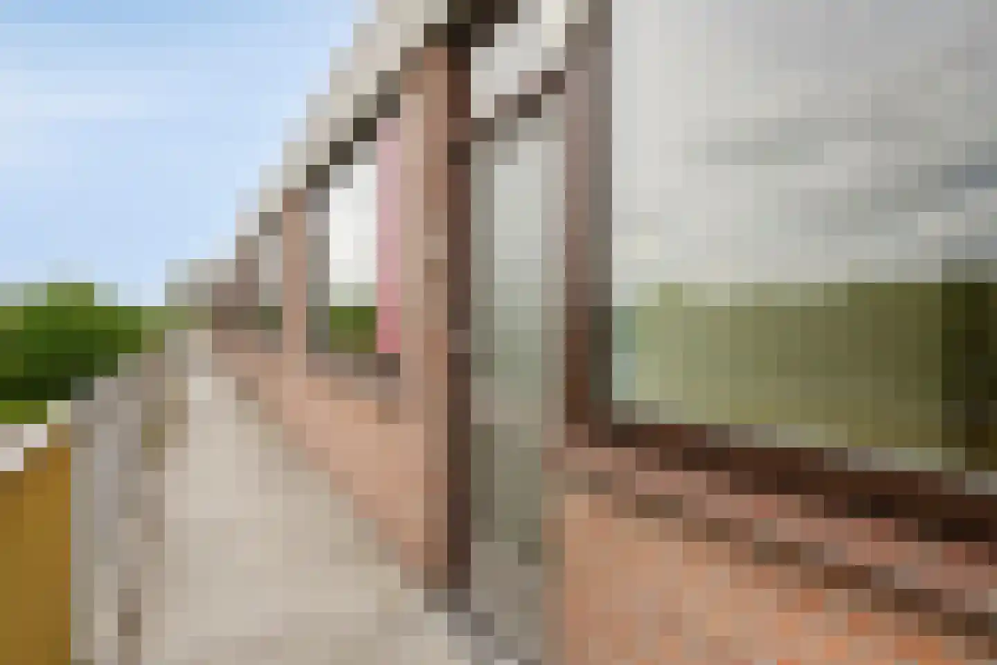 Evertsenlaan 75 Terneuzen thumbnail 4