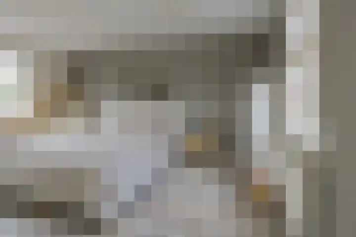 Evertsenstraat 1 IJmuiden thumbnail 37