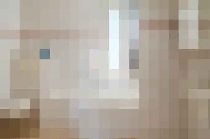 Evertsenstraat 11 Bleiswijk thumbnail 24