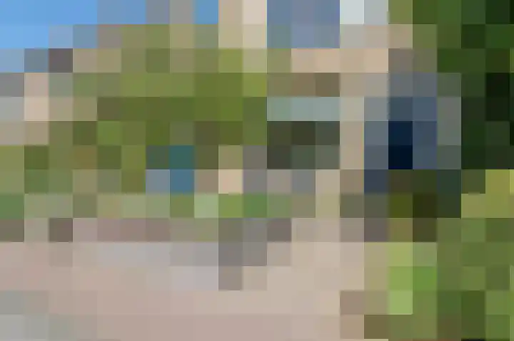 Evertsenstraat 11 Bleiswijk thumbnail 6