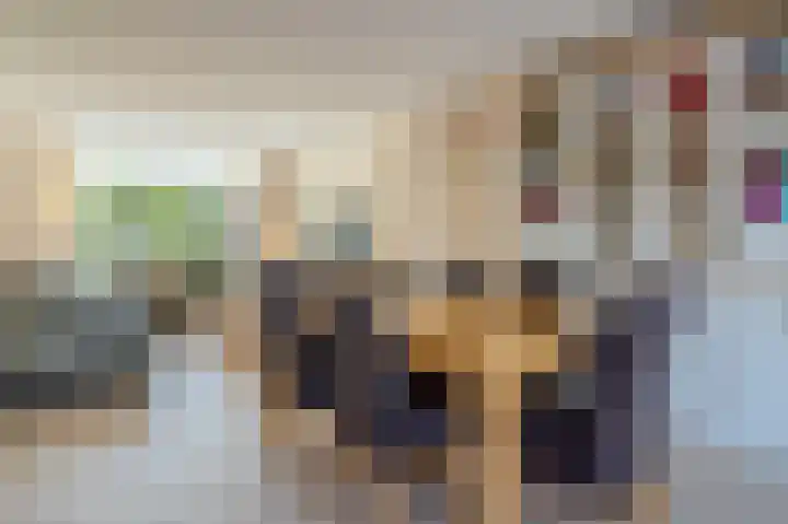 Evertsenstraat 11 Bleiswijk thumbnail 9