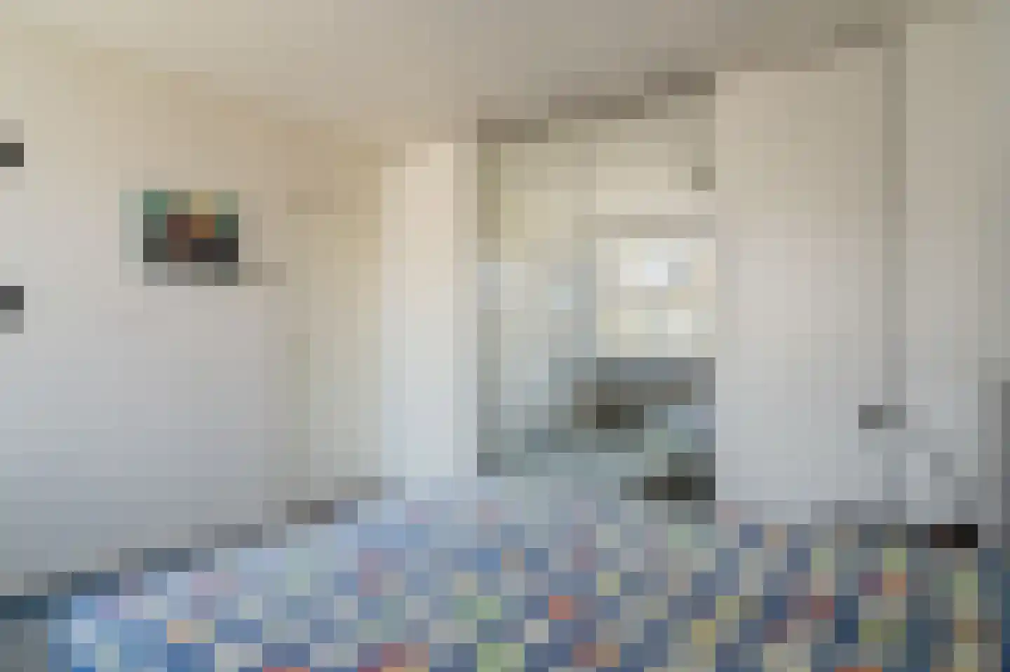 Evertsenstraat 13 Bleiswijk thumbnail 17