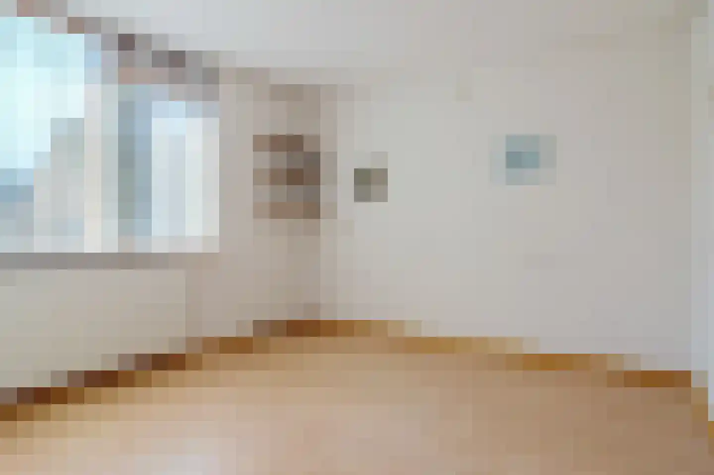 Evertsenstraat 13 Bleiswijk thumbnail 18