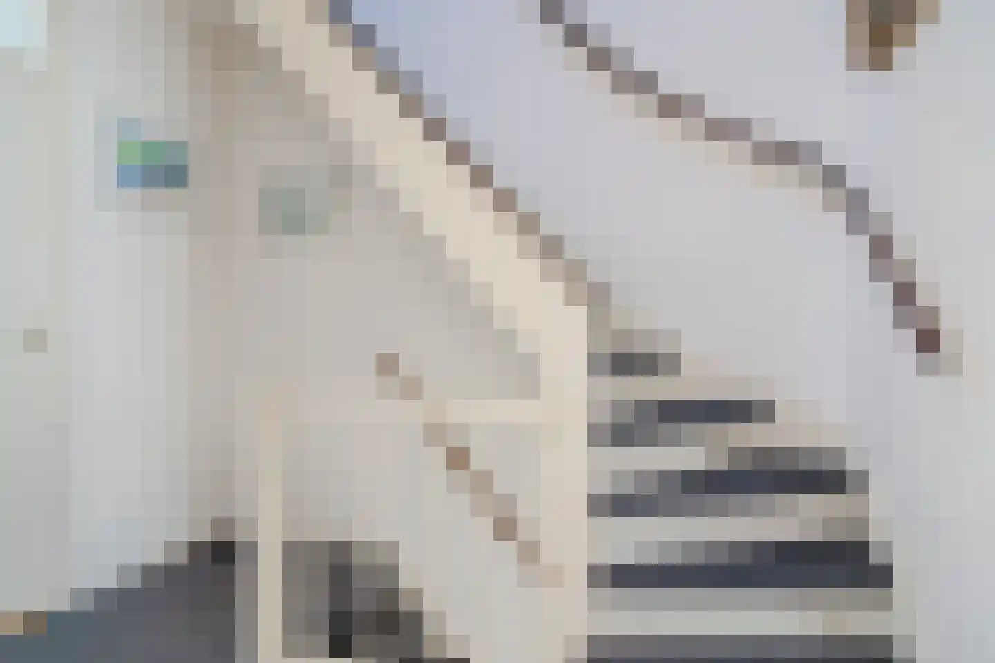 Evertsenstraat 13 Bleiswijk thumbnail 22
