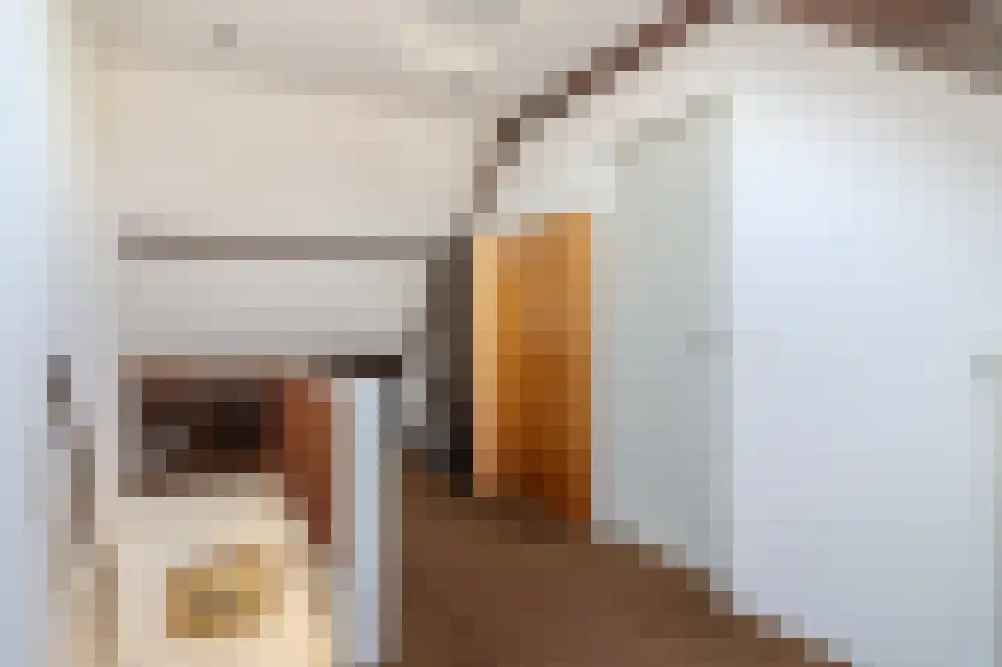 Evertsenstraat 13 Bleiswijk thumbnail 23