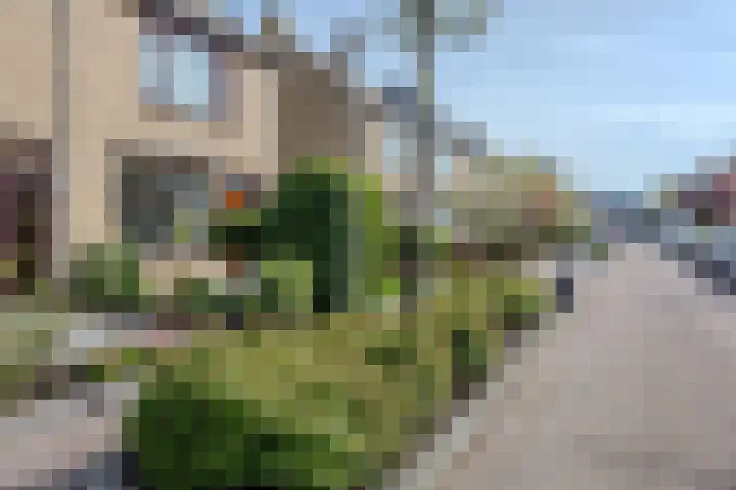 Evertsenstraat 13 Bleiswijk thumbnail 33