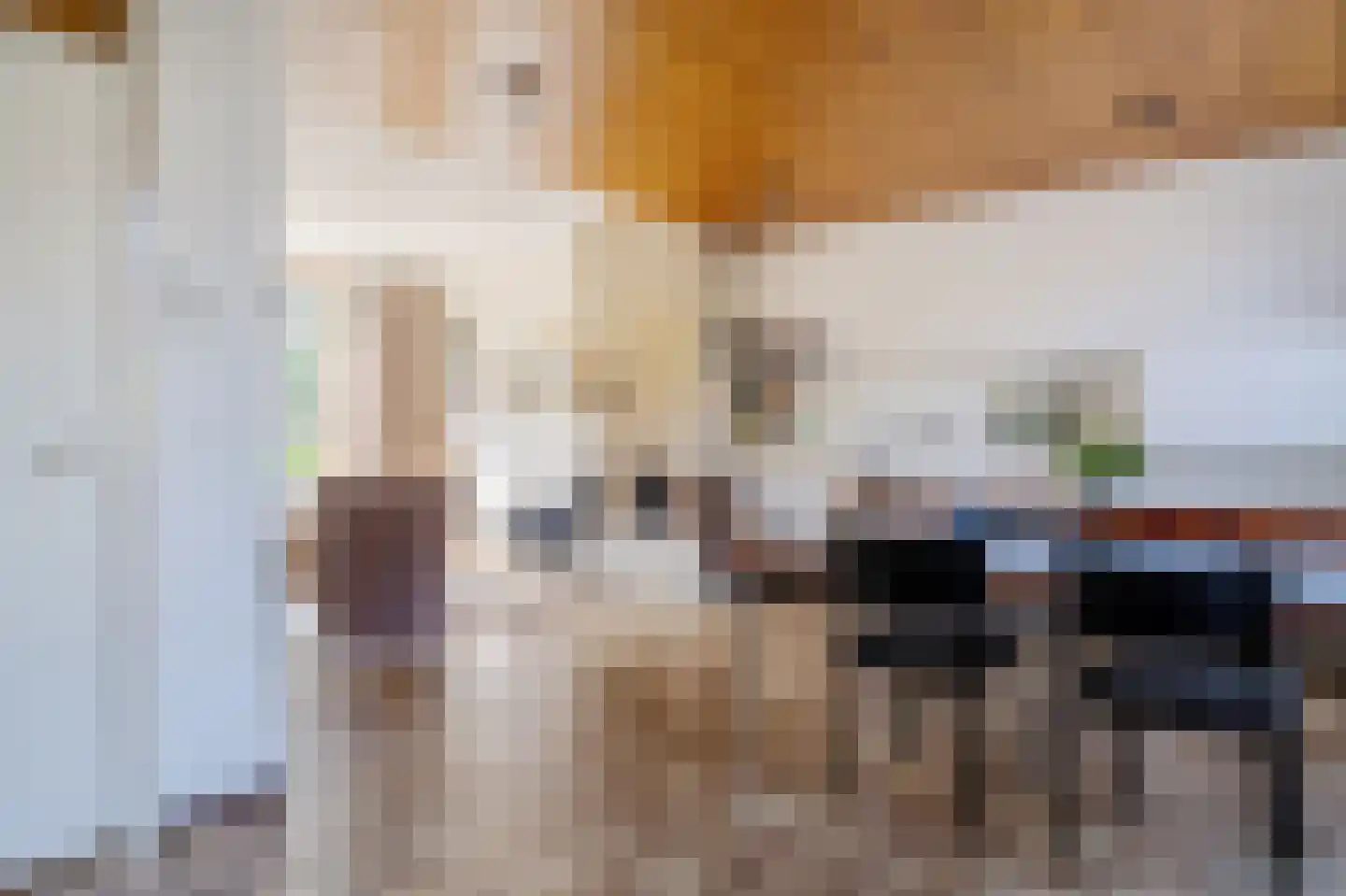 Evertsenstraat 13 Bleiswijk thumbnail 6