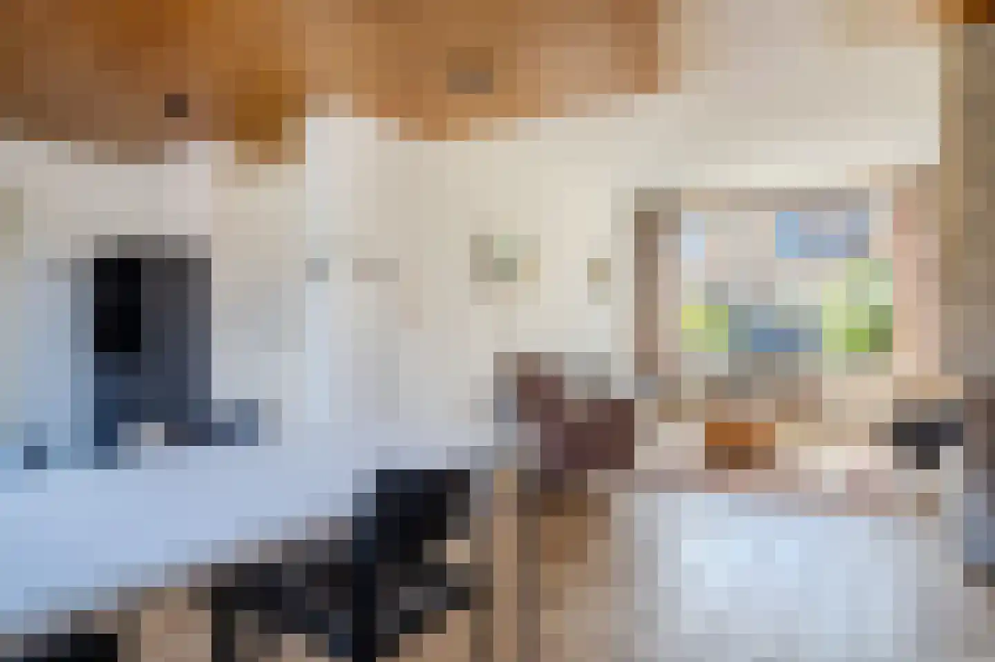 Evertsenstraat 13 Bleiswijk thumbnail 7