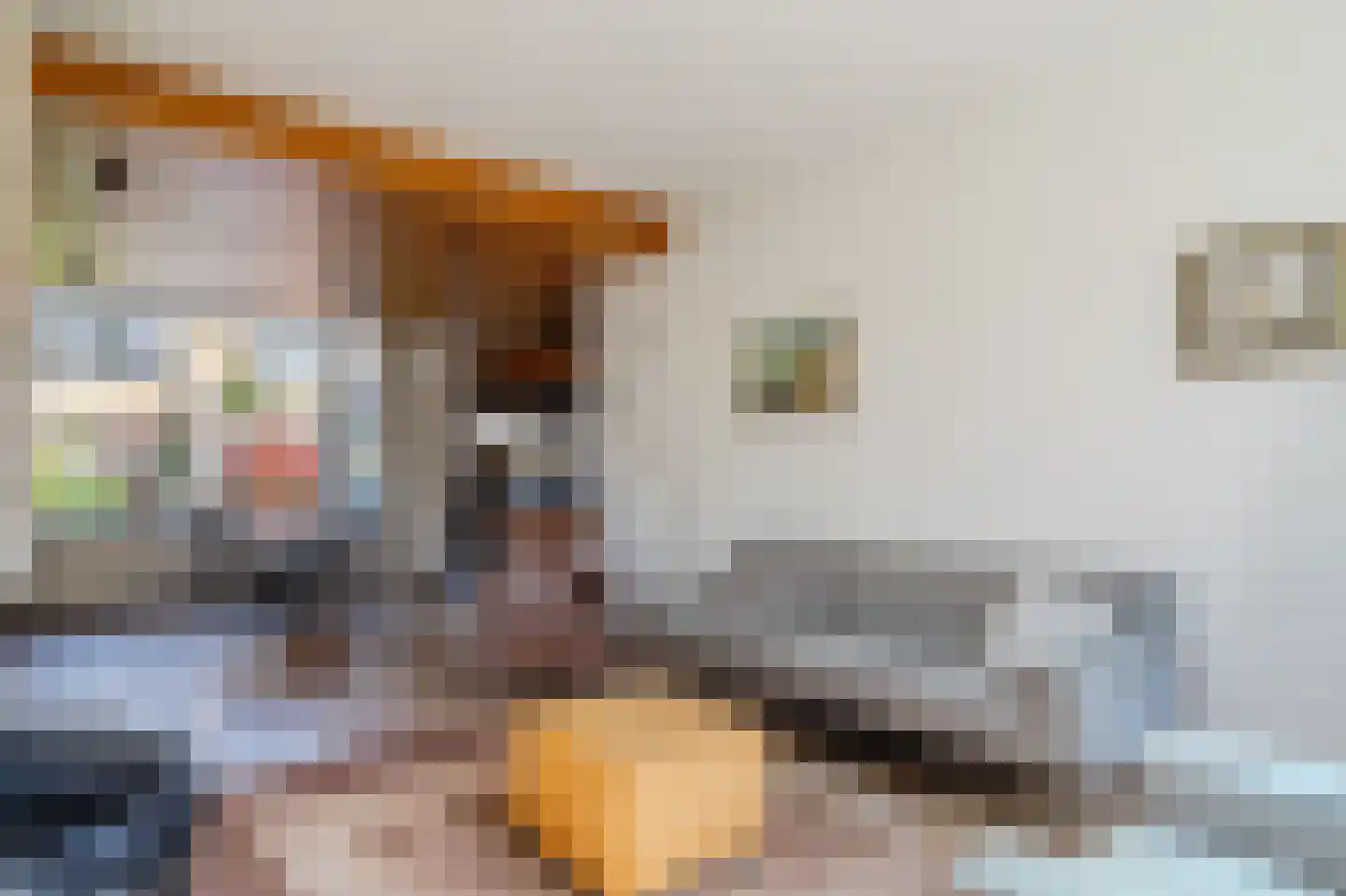 Evertsenstraat 13 Bleiswijk thumbnail 9