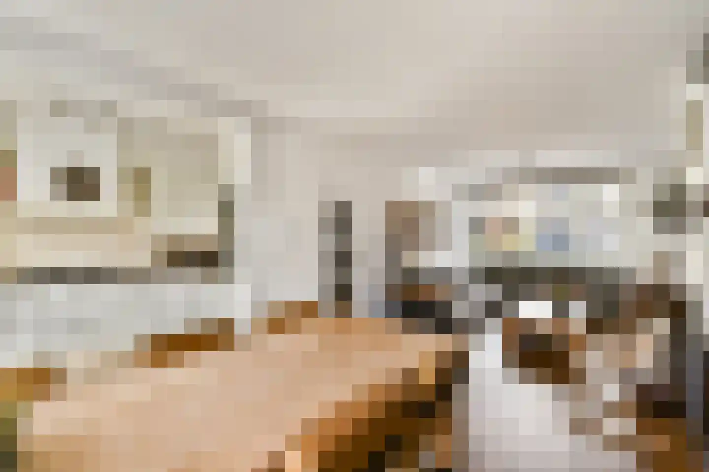 Evertsenstraat 14 Bleiswijk thumbnail 10
