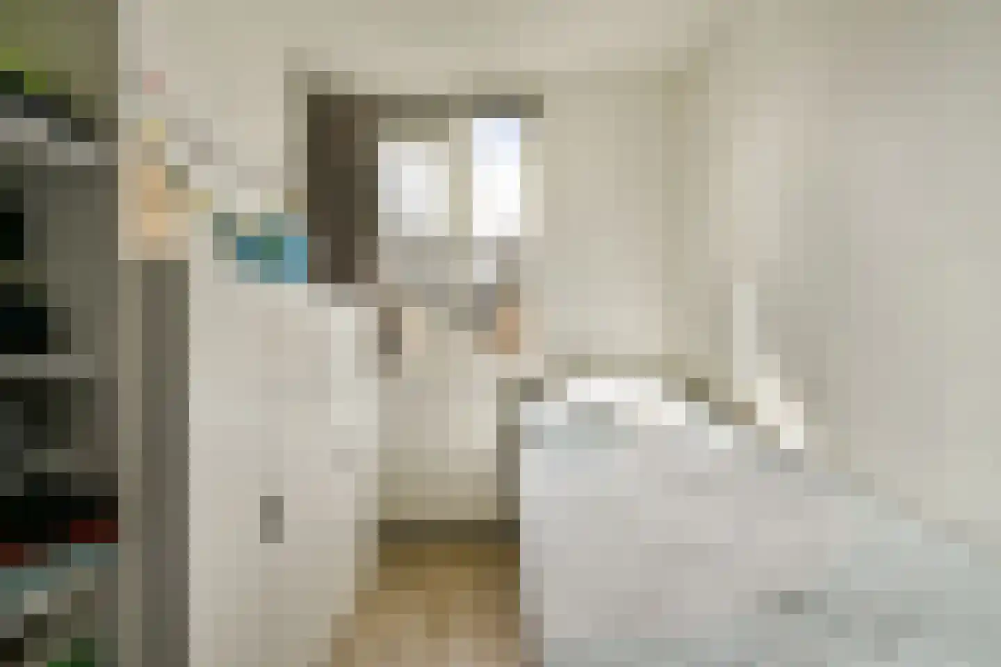 Evertsenstraat 14 Bleiswijk thumbnail 18