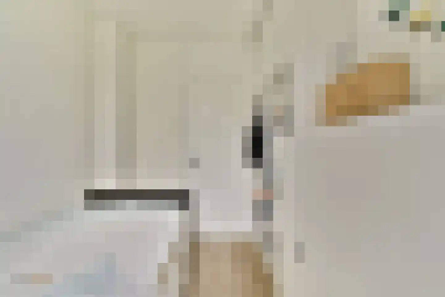 Evertsenstraat 14 Bleiswijk thumbnail 20