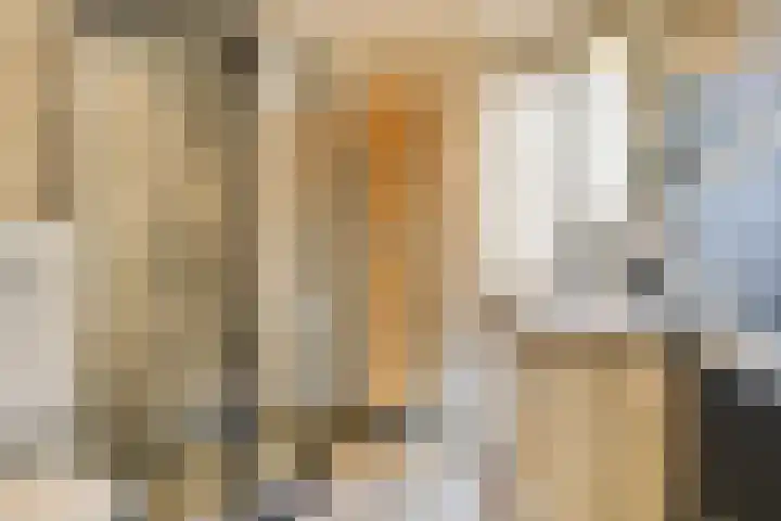 Evertsenstraat 14 Bleiswijk thumbnail 20