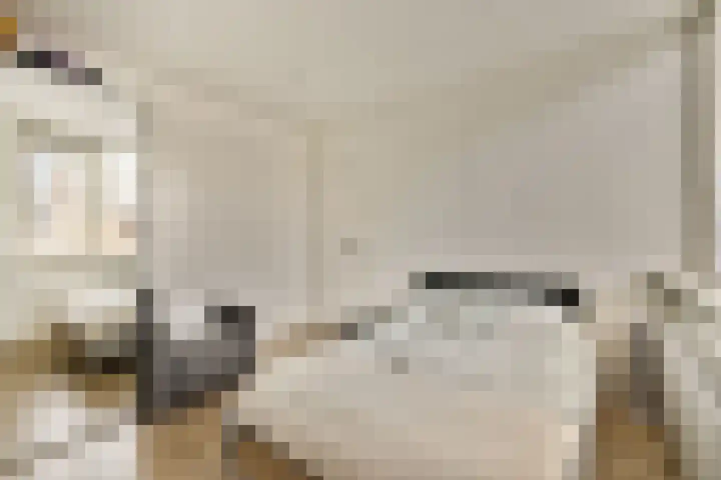 Evertsenstraat 14 Bleiswijk thumbnail 23