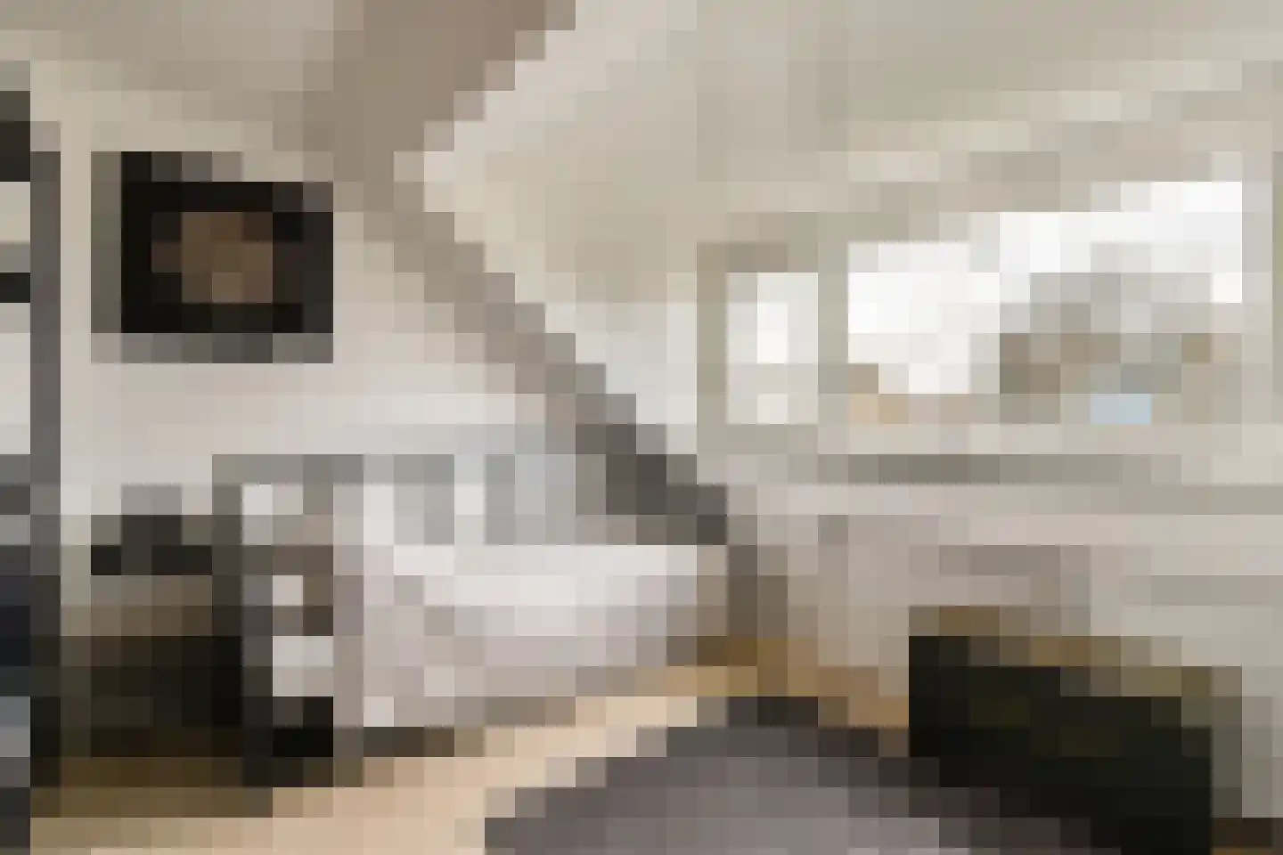 Evertsenstraat 14 Bleiswijk thumbnail 27