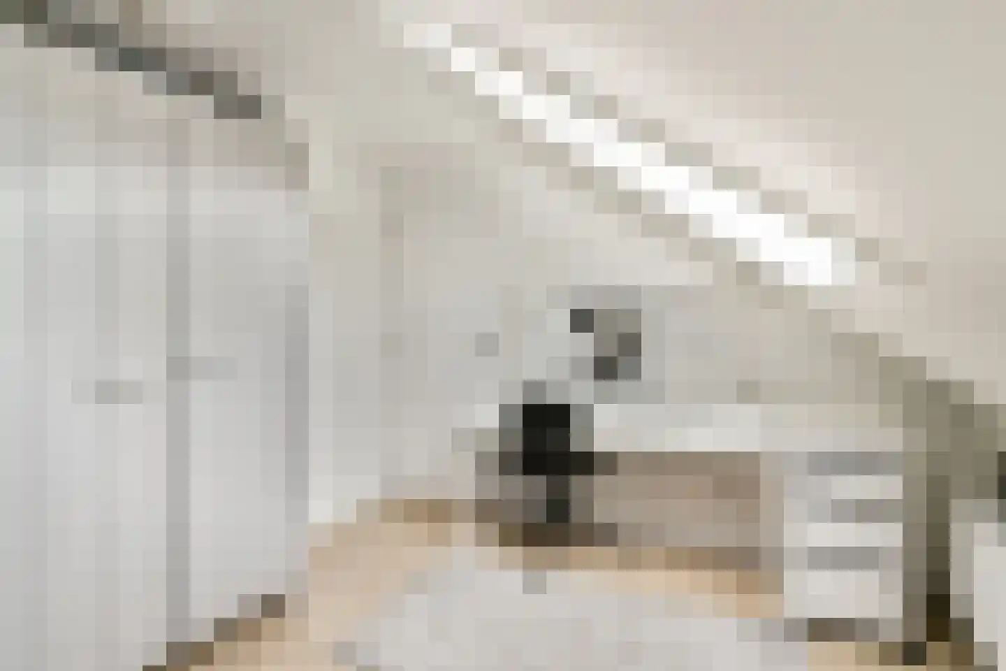 Evertsenstraat 14 Bleiswijk thumbnail 30
