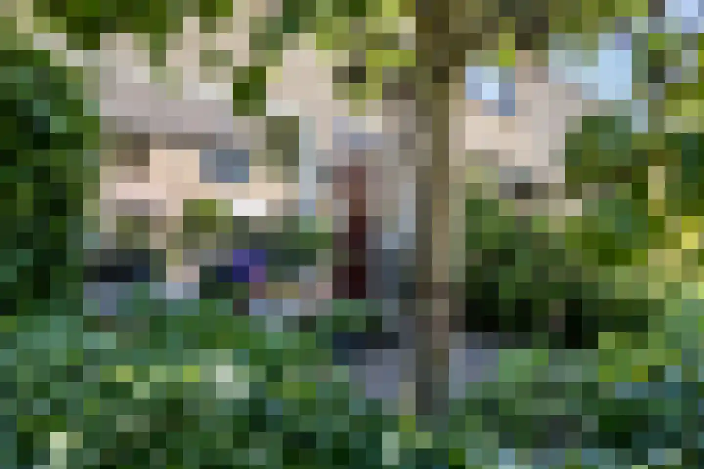 Evertsenstraat 14 Bleiswijk thumbnail 5