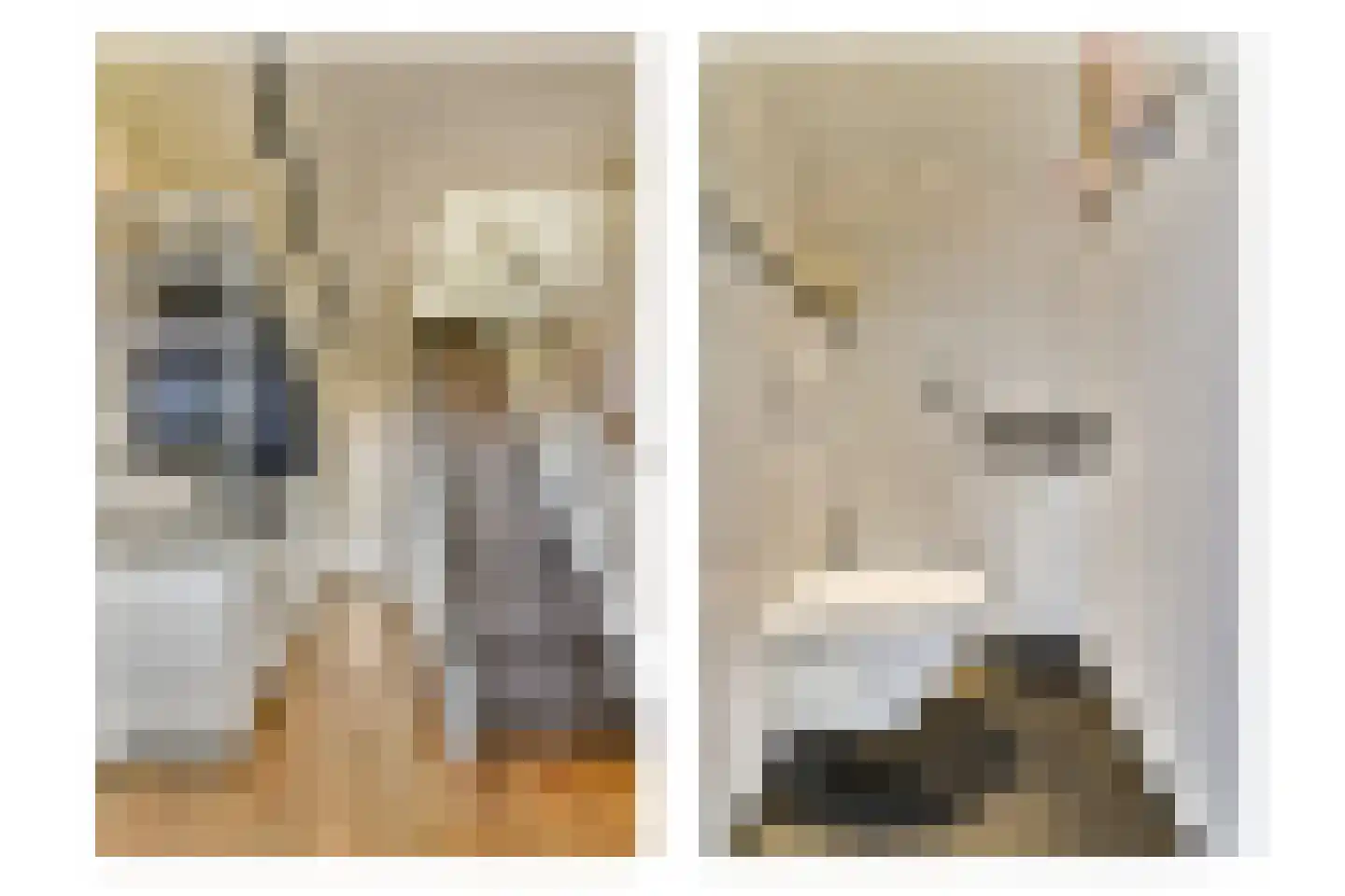 Evertsenstraat 14 Bleiswijk thumbnail 5