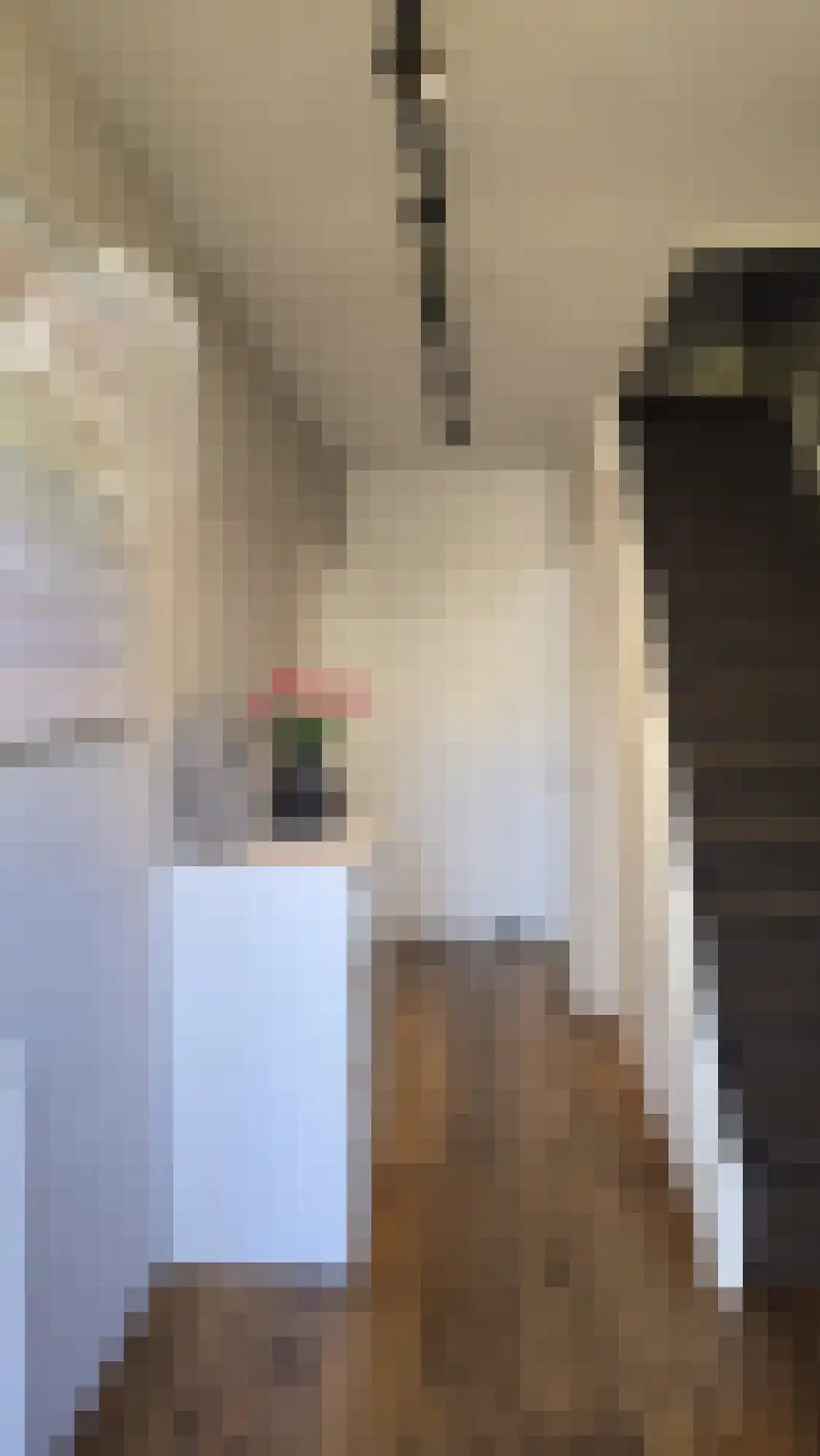 Evertsenstraat 14 Bleiswijk thumbnail 6