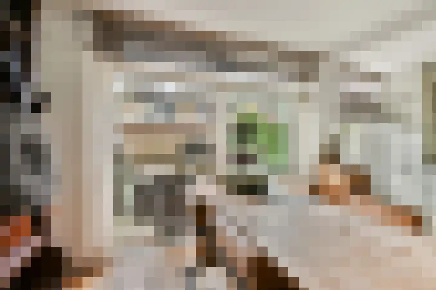 Evertsenstraat 14 Bleiswijk thumbnail 9