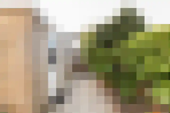 Evertsenstraat 17 Koudekerke thumbnail 19