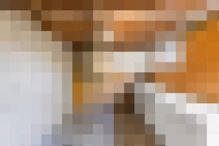 Evertsenstraat 17 Koudekerke thumbnail 20