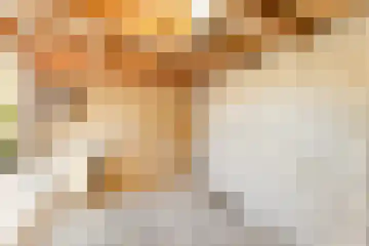 Evertsenstraat 17 Koudekerke thumbnail 21
