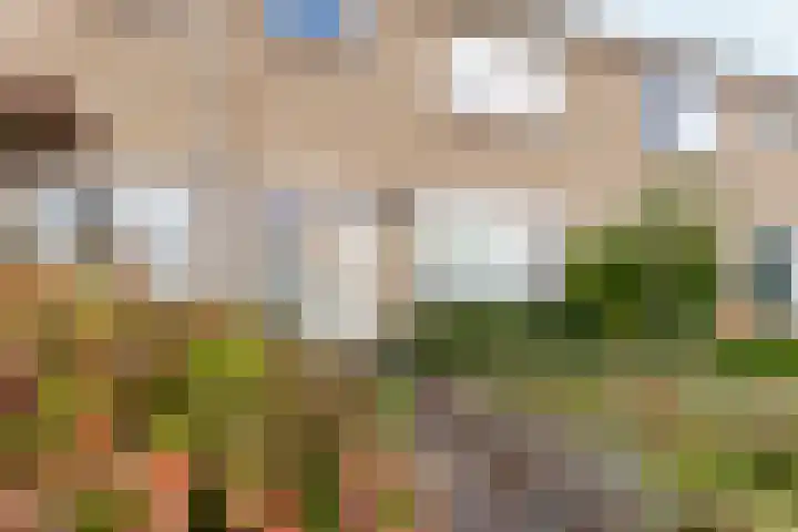 Evertsenstraat 17 Koudekerke thumbnail 5