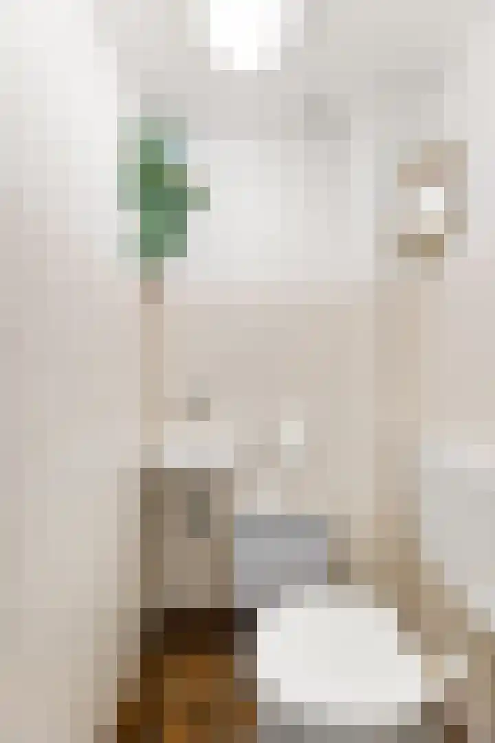 Evertsenstraat 17 Koudekerke thumbnail 8