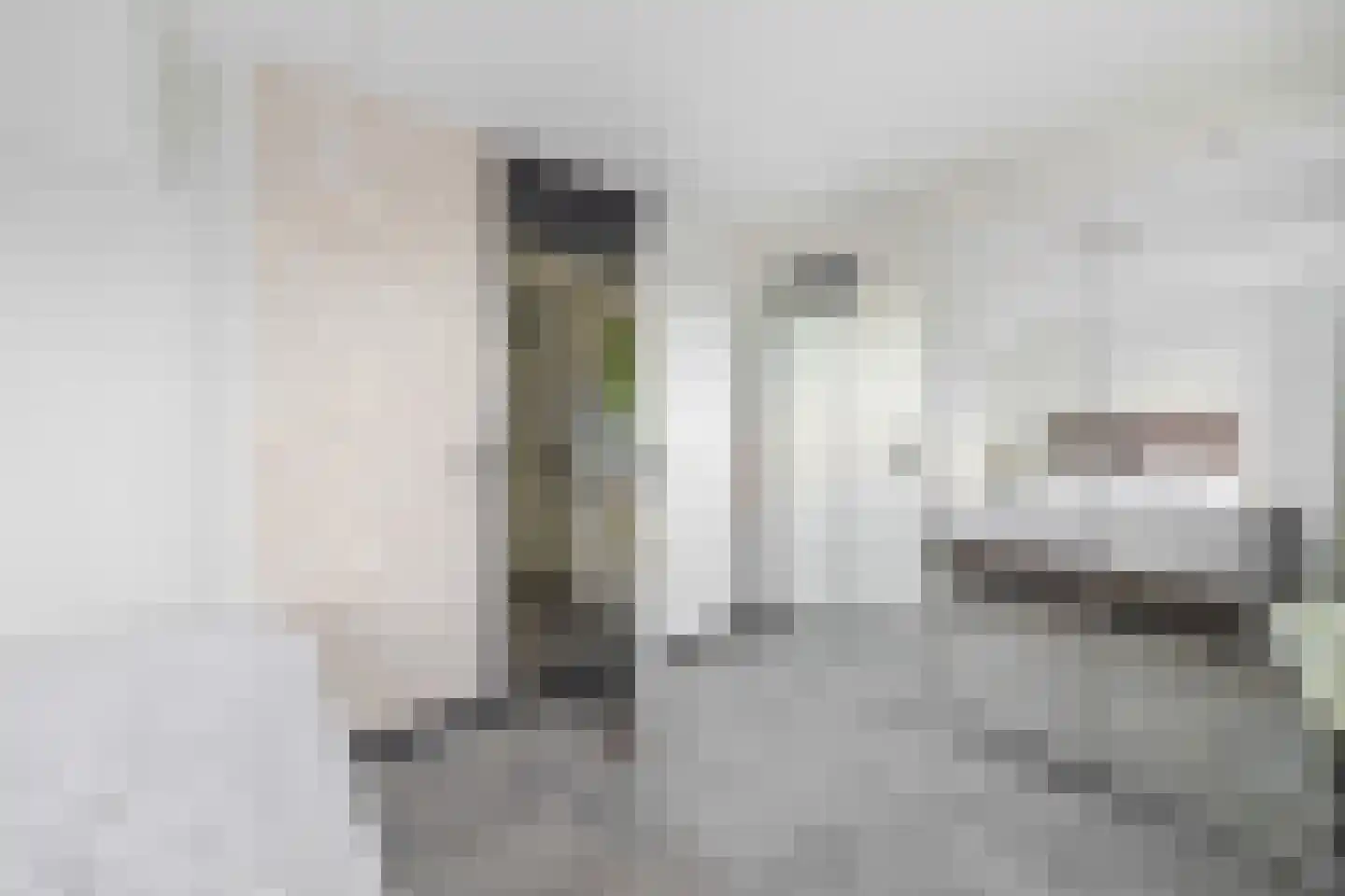 Evertsenstraat 17 Leidschendam thumbnail 26