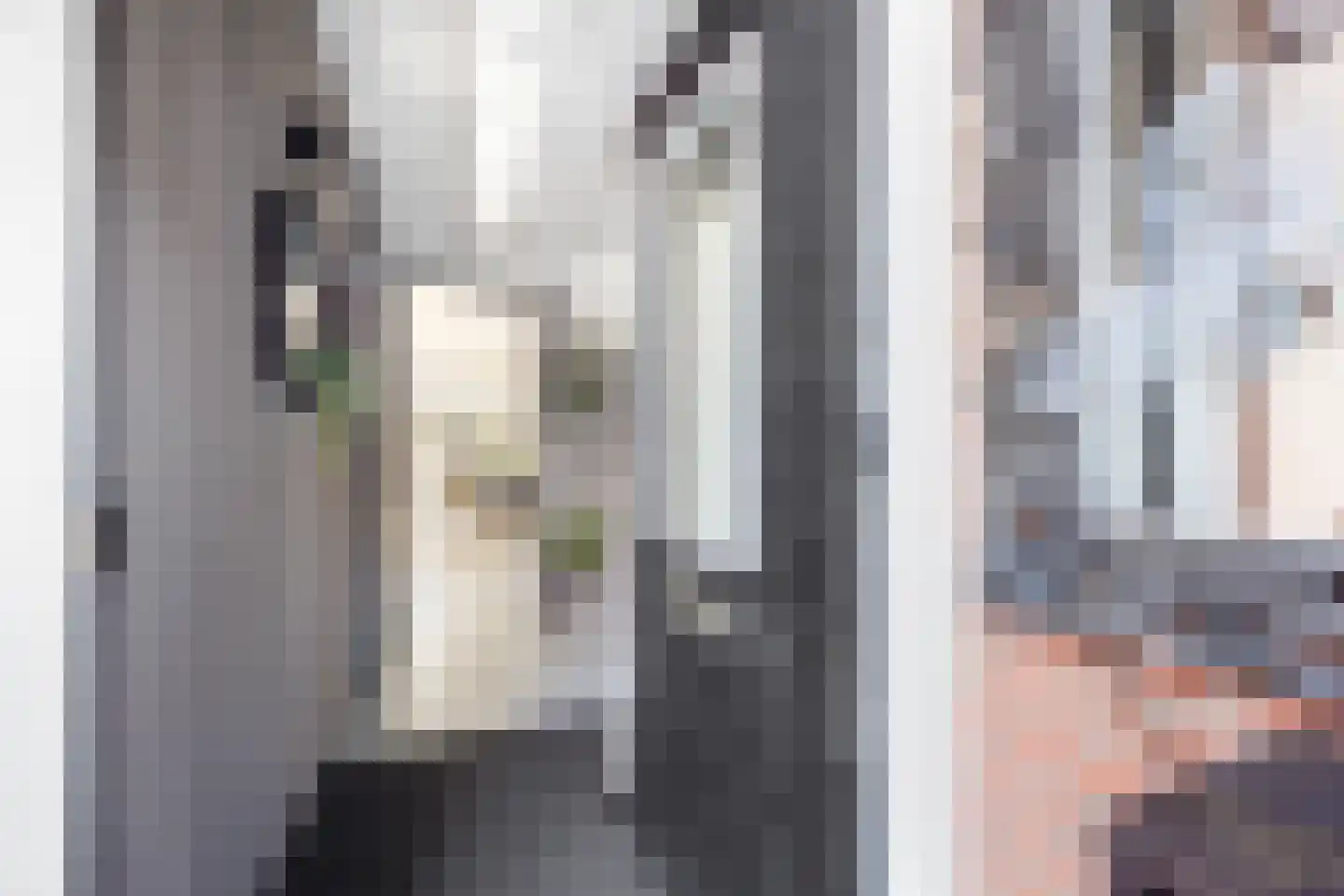 Evertsenstraat 17 Leidschendam thumbnail 5